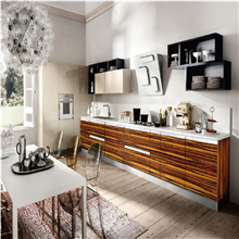 Kitchen cabinet-PR-K016